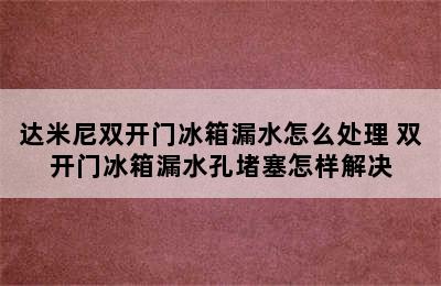 达米尼双开门冰箱漏水怎么处理 双开门冰箱漏水孔堵塞怎样解决